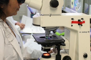 Nuevo tratamiento potencial para la enfermedad celíaca en un estudio clínico